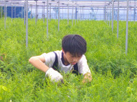 DSCF0059