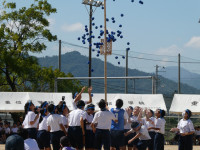P1003973