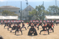 応3