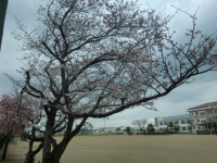 CIMG8368