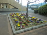 花壇