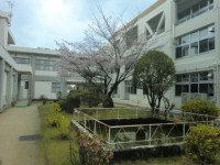 CIMG8375
