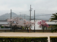 DSCN2646