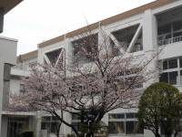 DSCN2647